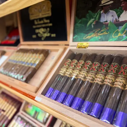 Open boxes of premium cigars in the humidor
